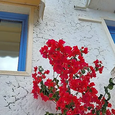 Mesonette Sea View Apartment Crete Island